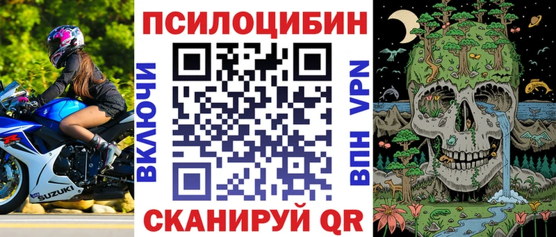 Галлюциногенные грибы MAGIC MUSHROOMS  это как зайти  Бабаево 