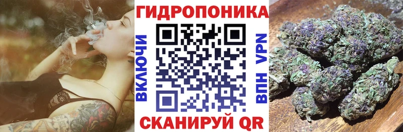 как найти наркотики  Бабаево  Конопля SATIVA & INDICA 